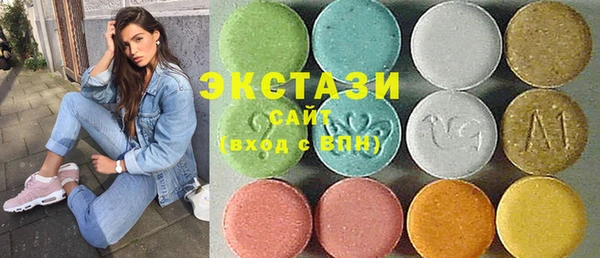 хмурый Алексин