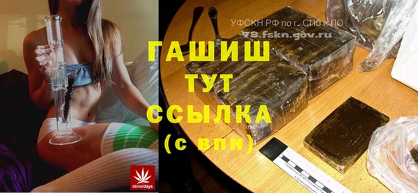 хмурый Алексин