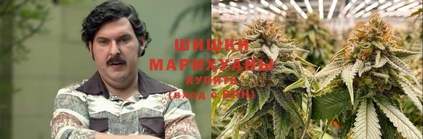 стаф Абаза